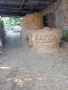 продавам Бали сено цена 8 лв.,бали слама,рола царевичак, снимка 7