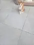 Подарявам котенца, снимка 4