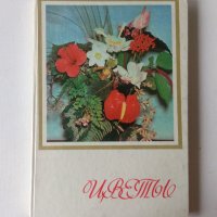 Енциклопедия Стайни растения и декоративно цъфтящи храсти на руски Цветы, снимка 1 - Енциклопедии, справочници - 39971976