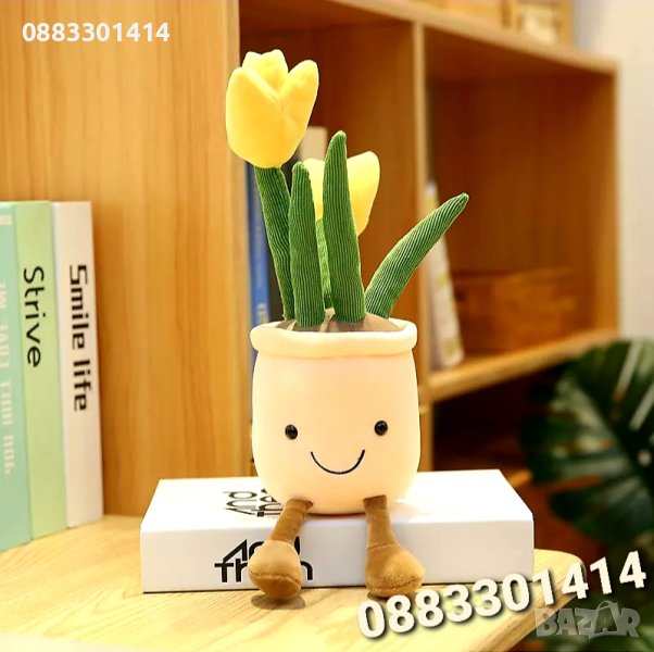 Плюшено цвете в саксия Букет , снимка 1