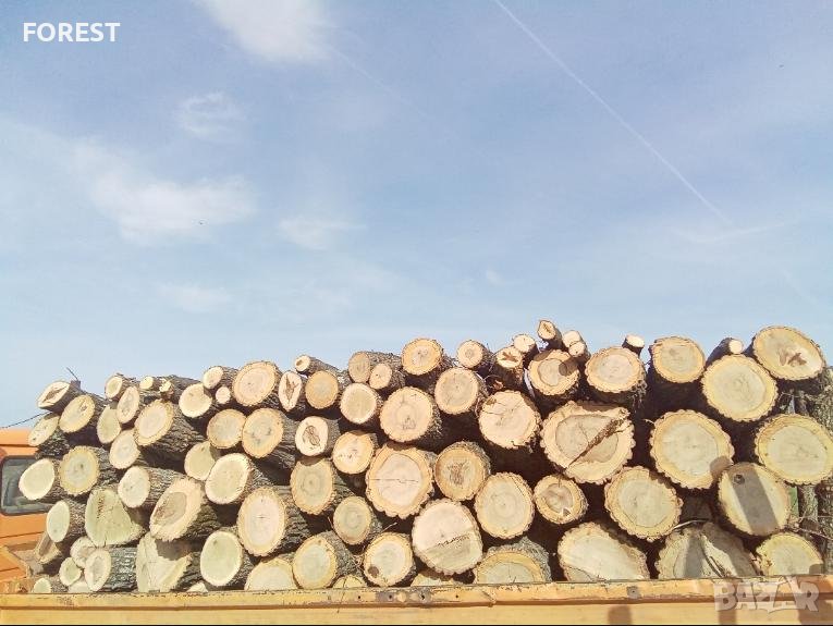 Дърва за огрев, снимка 1