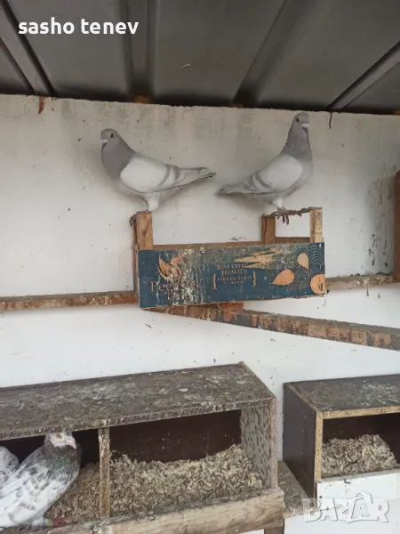 Свободни , снимка 1