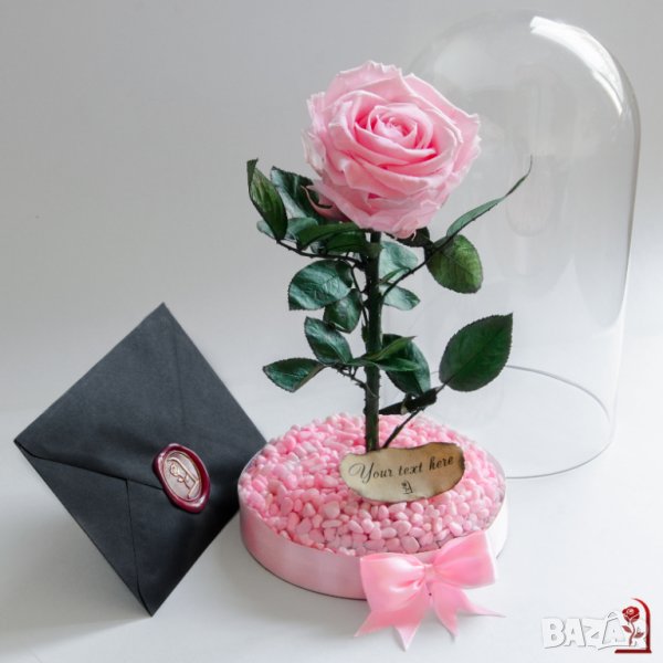 Подарък за Рожден ден на Жена / Истинска Розова Роза в Стъкленица / Жива Вечна Роза, снимка 1