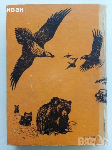 Сред природата с бележник - Е.П.Спангенберг - 1981г. , снимка 5 - Художествена литература - 41066787