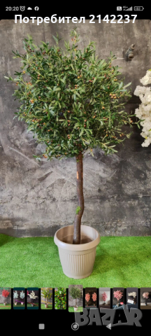 Изкуствени дръвчета , снимка 5 - Изкуствени цветя - 44702155