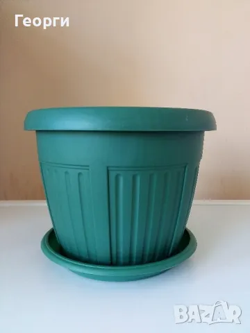 Саксия ребро с подложка, снимка 1