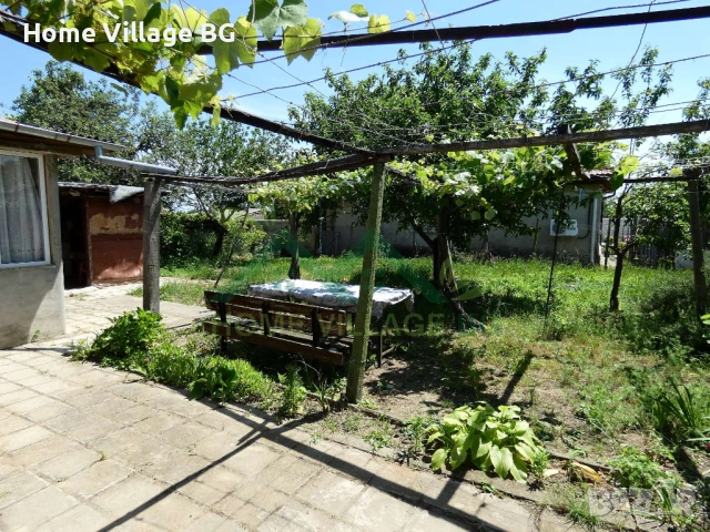 Едноетажна къща с допълнителни постройки, село Господиново , снимка 15 - Къщи - 53229558