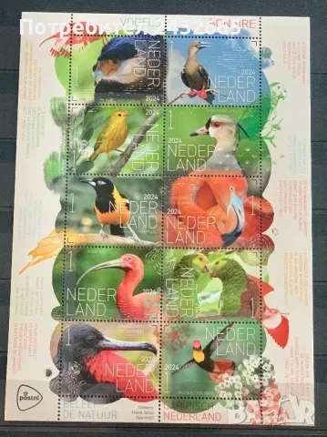 2490. Нидерландия 2024 = “ Фауна. Изживей природата : Птици от остров Бонер.“, **, MNH