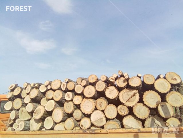 Дърва за огрев, снимка 1