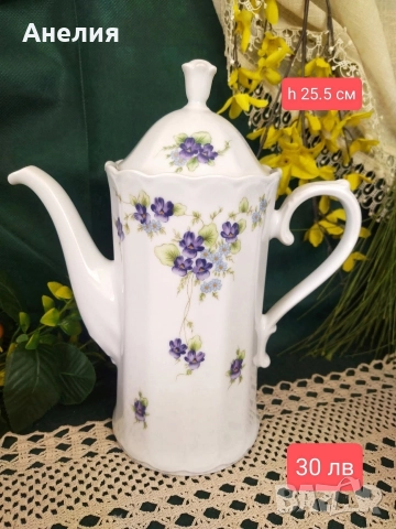 Виолетки Eschenbach Bavaria 