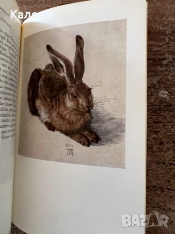 Книга за Албрехт Дюрер - акварели и рисунки на немски , снимка 11 - Специализирана литература - 51009336