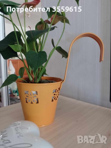 метална кашпа за цветя, за окачване. От Испания, снимка 1