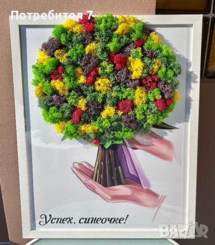 Рамка с естествен скандинавски мъх, снимка 3 - Картини - 40014587