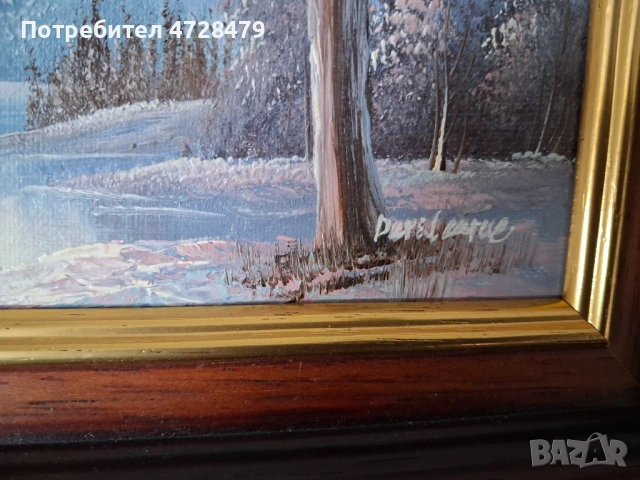 Картини маслени с красиви рамки и подпис на художника., снимка 5 - Декорация за дома - 53704932
