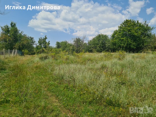 Продава парцел с. Войнеговци, снимка 4 - Парцели - 41518797