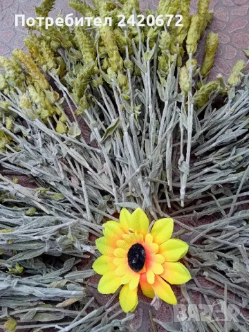 био  мурсалски  чай, снимка 1