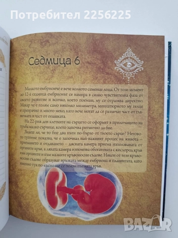 Докато аз и ти сме едно, снимка 4 - Художествена литература - 55774720