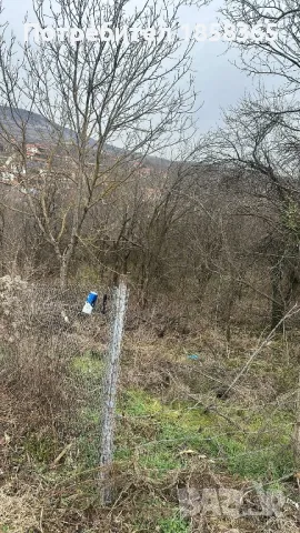 Почистване на дворове , снимка 9 - Други почистващи услуги - 40166087