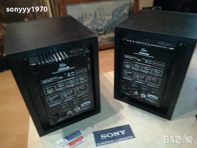 FAME MONITOR X2-АКТИВНИ КОЛОНИ 2807231236LNV, снимка 10 - Тонколони - 41685835