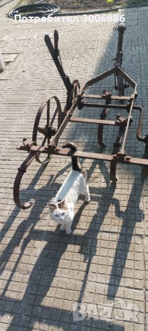 Конски браздилник , снимка 4 - Антикварни и старинни предмети - 40451949