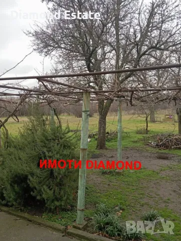 Двуетажна къща в село Димитриево общ. Чирпан, снимка 2 - Къщи - 48612242