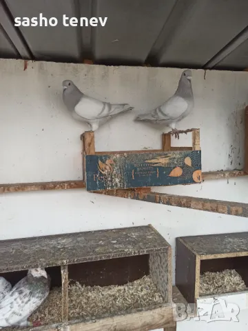 Свободни , снимка 1