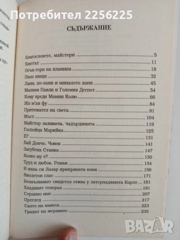 Градът на жеравите, снимка 2 - Художествена литература - 52174171