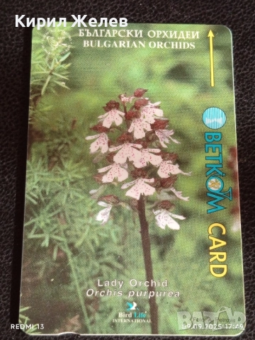 Две фонокарти БЕТКОМ,БУЛ ФОН тема ОРХИДЕЯ,ПРИРОДА за КОЛЕКЦИЯ ДЕКОРАЦИЯ 33468, снимка 4 - Колекции - 51657128