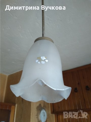 Полилеи единичен с цвете