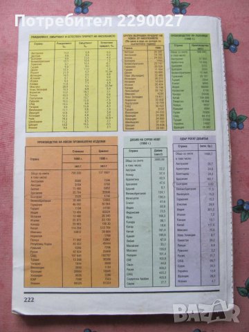 География 9 клас Булвест 2000, снимка 2 - Учебници, учебни тетрадки - 42323118