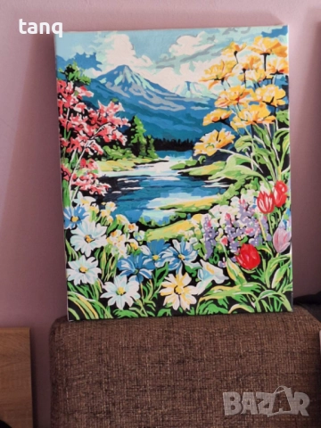 Ръчно рисувани картини по схема , снимка 11 - Картини - 52224901