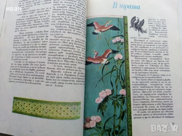 Индийски приказки - 1981г. Илюстрации Серджо Ризато , снимка 6 - Детски книжки - 49269570