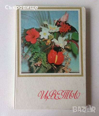 Енциклопедия Стайни растения и декоративно цъфтящи храсти на руски Цветы