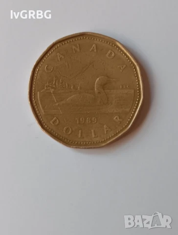 1 долар Канада 1989 Канадска монета с Кралица Елизабет Втора 1 долар 1989 Канада , снимка 3 - Нумизматика и бонистика - 50835143