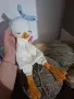 Бебешки гушкалца , снимка 6