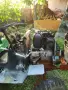 Трактор Беларус МТЗ (МТ-12), снимка 5