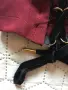 La Martina оригинален дамски панталон тип клин, снимка 9