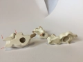 Стари фигурки ЛФЗ кучета, снимка 10