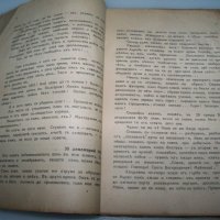 "Искам да живея" дневник на Димитър Сърмов, издание1939г., снимка 5 - Други - 41975706