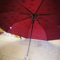 Магически чадъри с пеперуди, снимка 5 - Подаръци за жени - 42588899