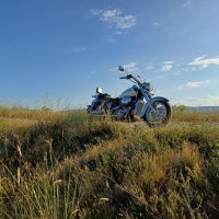 Honda shadow 750, снимка 6 - Мотоциклети и мототехника - 42343094