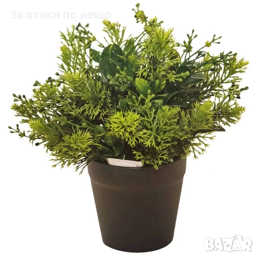 Декоративно растение в кашпа, 23 см Код P1234, снимка 1
