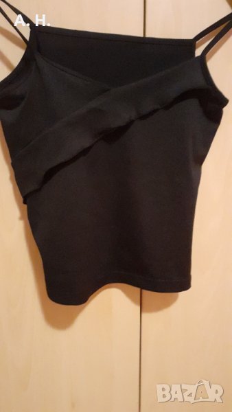 Черен потник, снимка 1