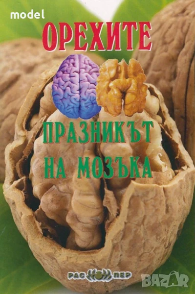 Орехите - празникът на мозъка , снимка 1