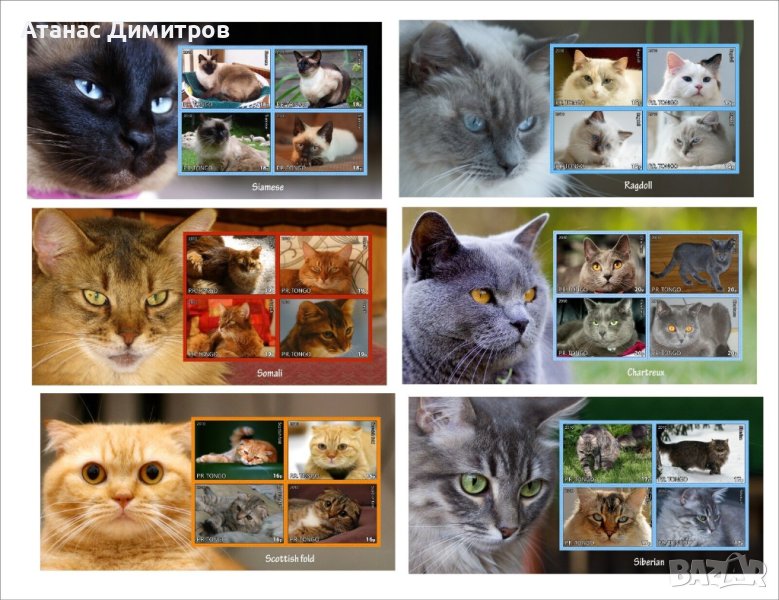 10 Чисти блока Котки 2010 от Тонго, снимка 1