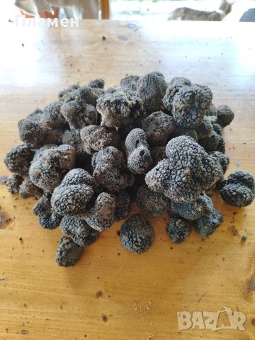 Черен пресен трюфел, снимка 3 - Други - 41320614
