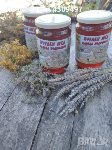 Пчелен мед "Столетник", снимка 2 - Пчелни продукти - 51820420