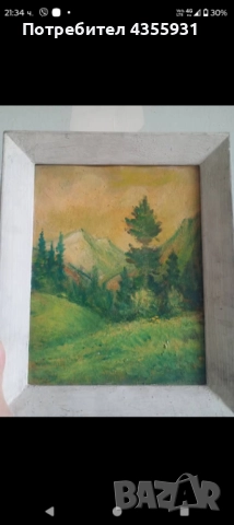 Две стари картини старинна картина стара картина , снимка 2 - Антикварни и старинни предмети - 52686224