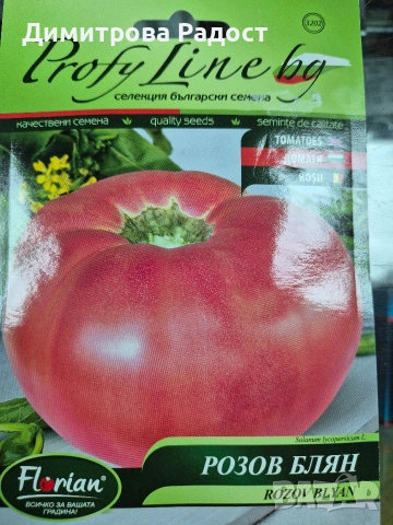 Български сортове домат! Състояние ново! , снимка 5 - Сортови семена и луковици - 53511640