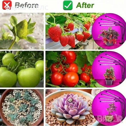 LED Лампа за растения STELS с 4 гъвкави рамена, Таймер и Пълен спектър, снимка 3 - Други - 53371053